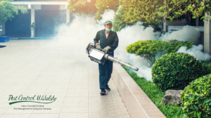 How to Choose the Safest, Most Effective Fumigation Service in Pune